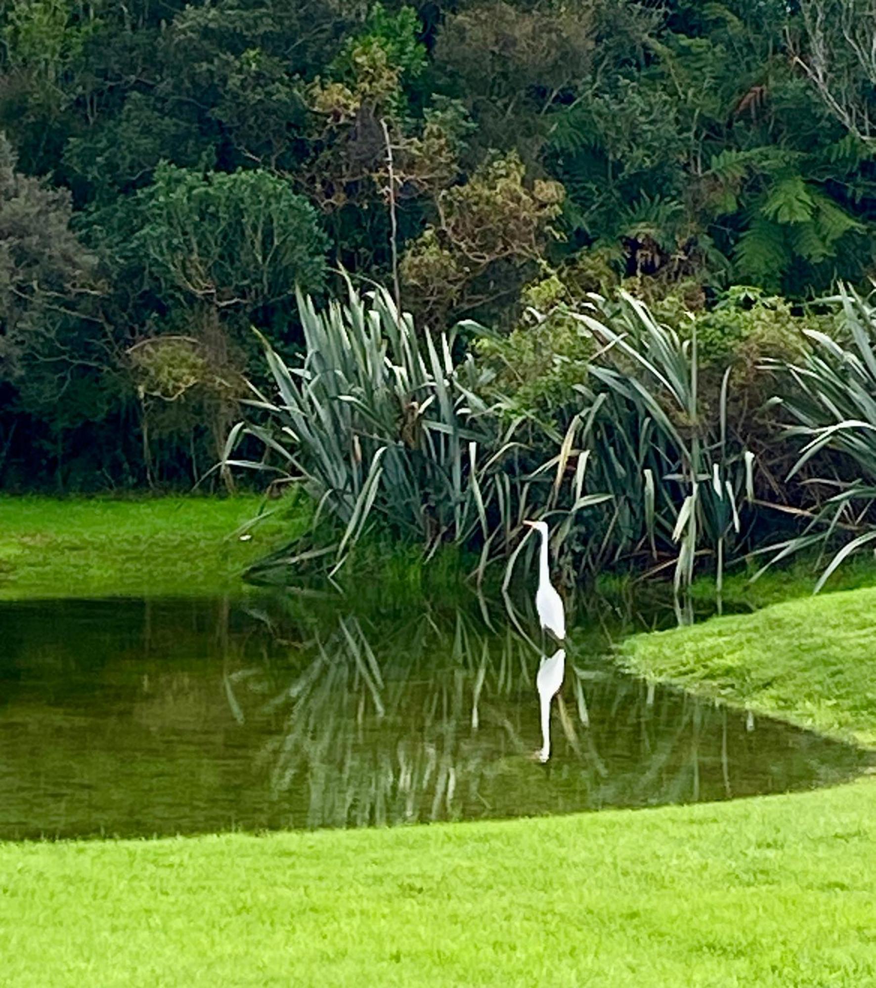 Heritage Park Lodge Haast Buitenkant foto