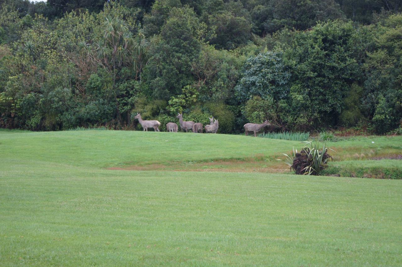 Heritage Park Lodge Haast Buitenkant foto